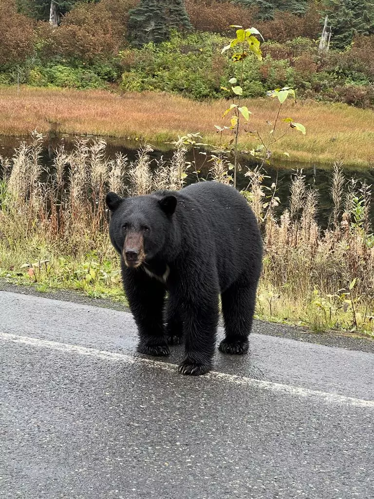 Canadá - 05/10/2022